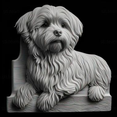 3D model Bolognese dog (STL)